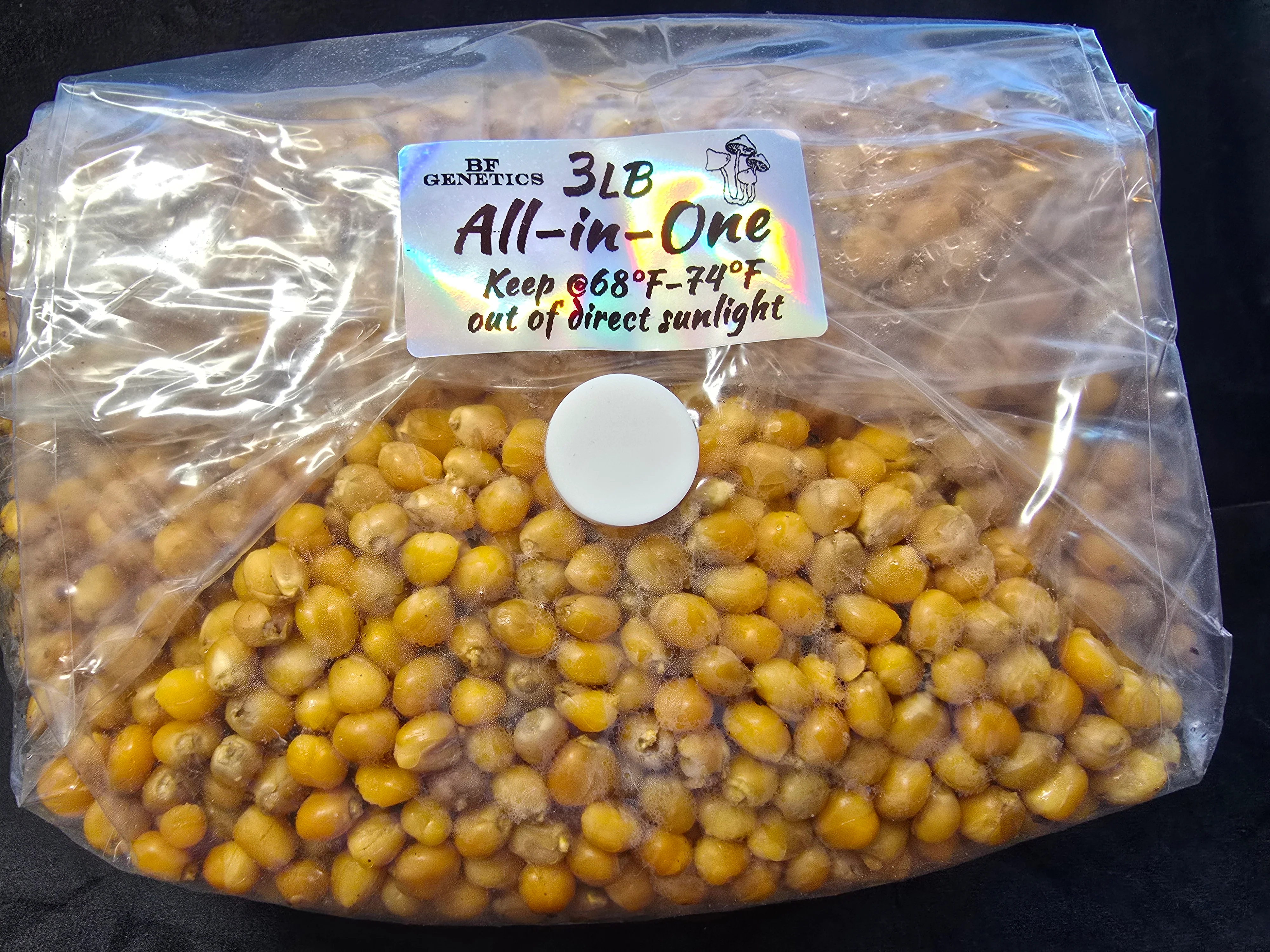 All-in-One Mushroom Grow Bag - Image 3