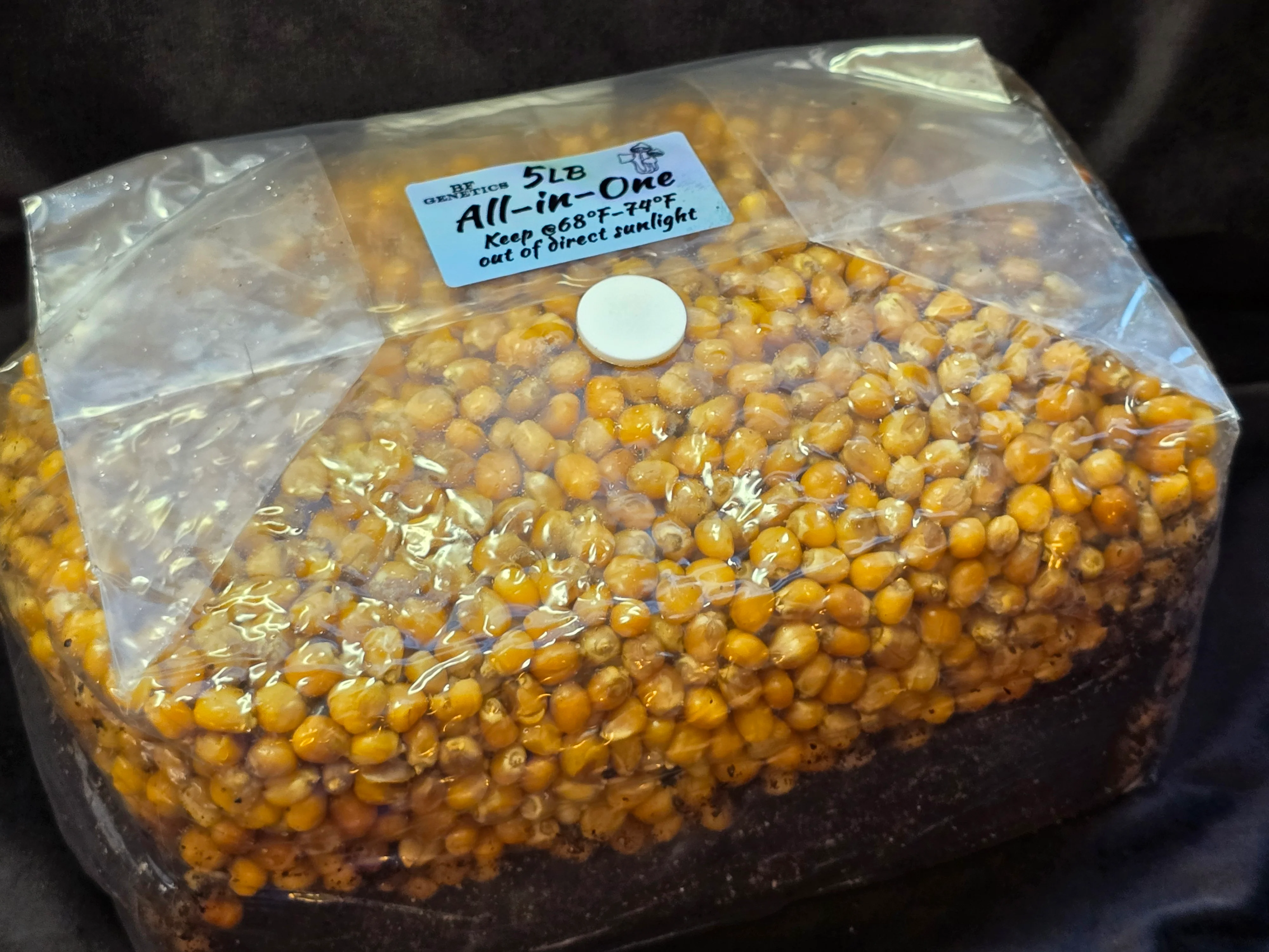 All-in-One Mushroom Grow Bag - Image 4