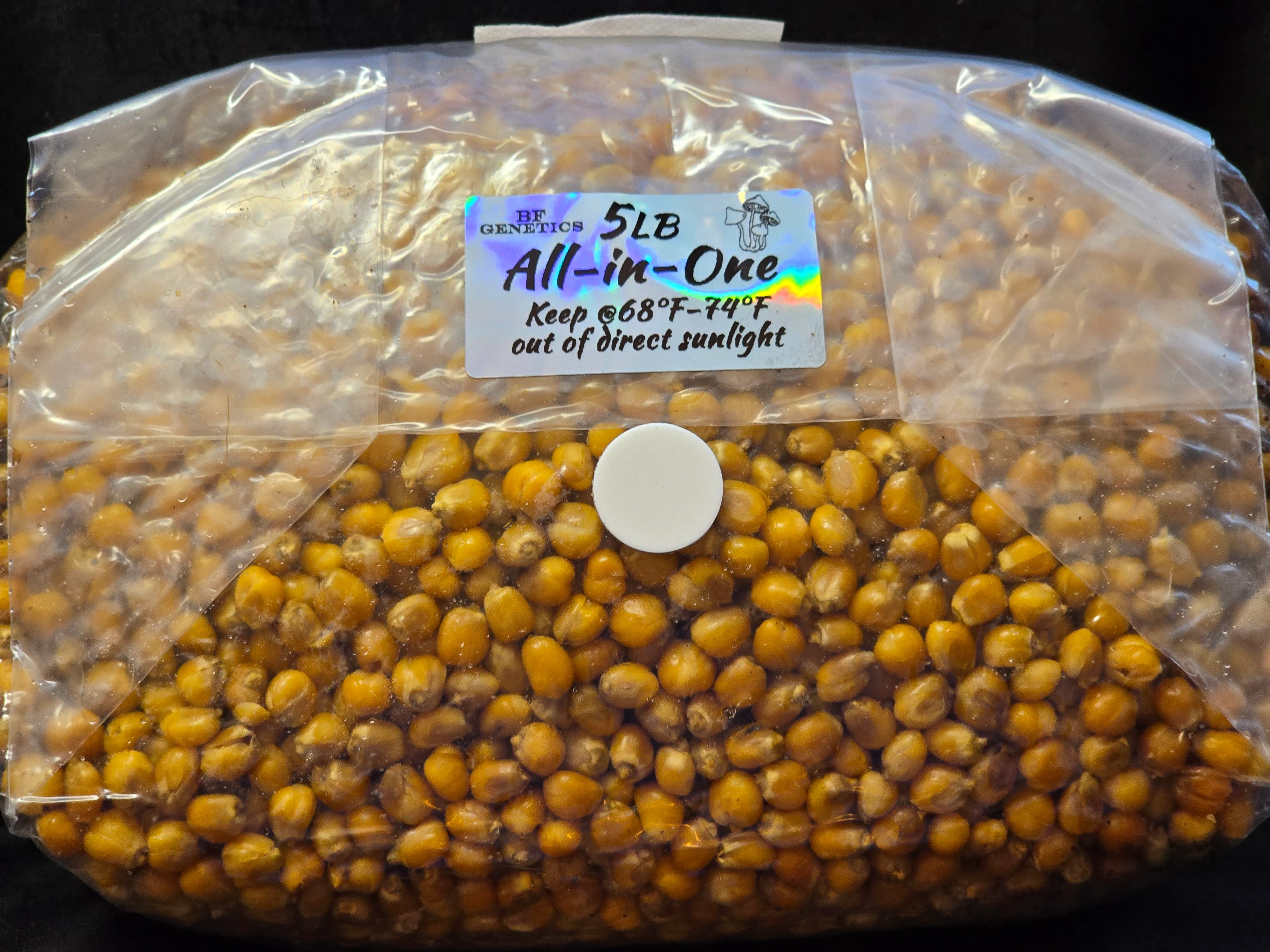 All-in-One Mushroom Grow Bag - Image 5